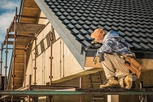 Best Roof Maintenance Services  in Ambridge, PA