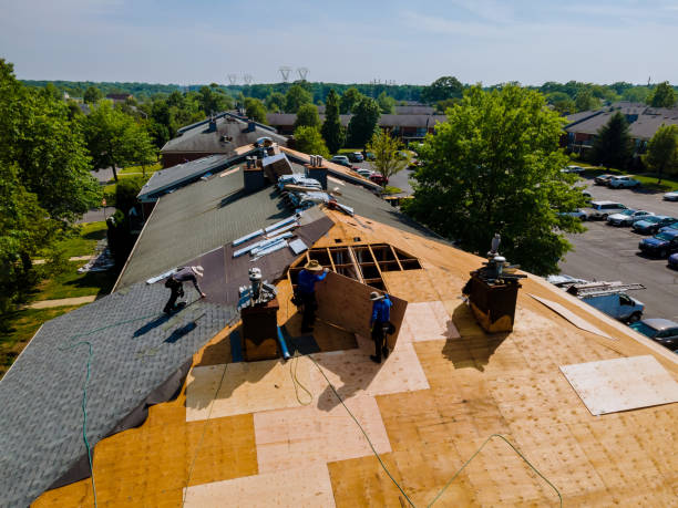 Best Metal Roofing Contractor  in Ambridge, PA