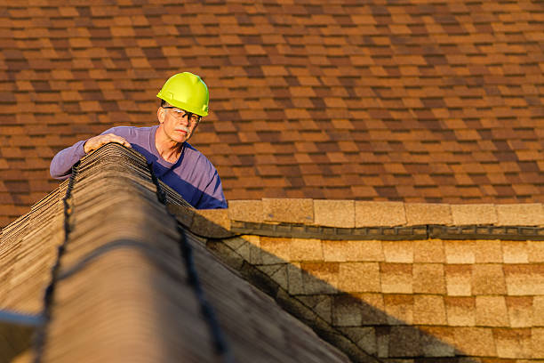 Best Roof Restoration Services  in Ambridge, PA
