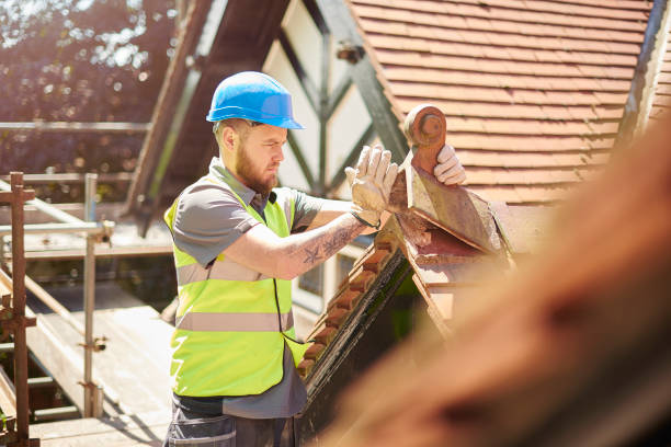 Best Roof Leak Repair  in Ambridge, PA