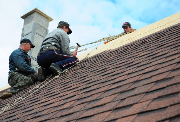 Best Affordable Roofing Company  in Ambridge, PA