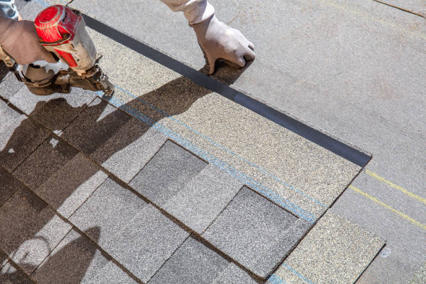 Best Roof Gutter Cleaning  in Ambridge, PA