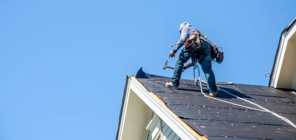 Best Storm Damage Roof Repair  in Ambridge, PA